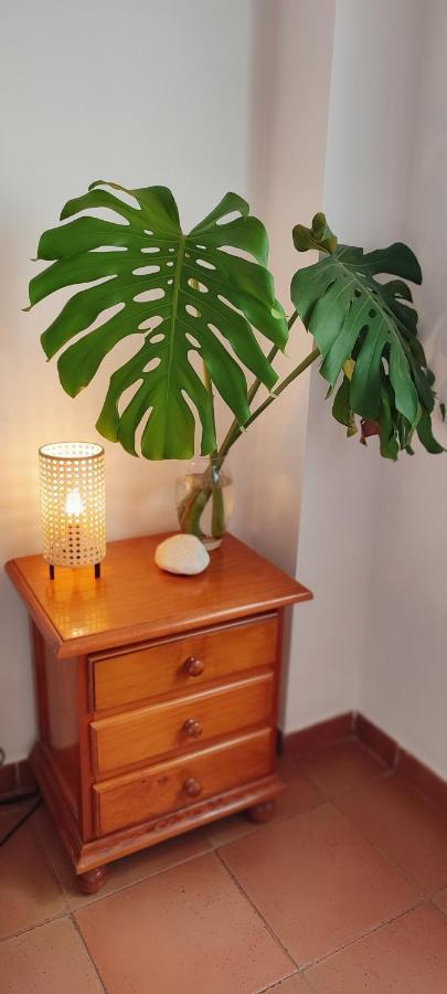 Appartement Centro Nerja